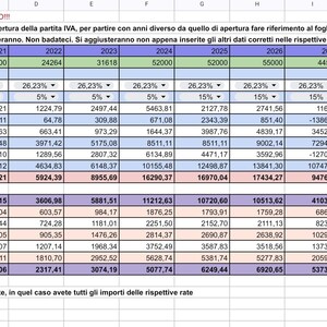 Op de afbeelding: Een spreadsheet met financiële gegevens, inclusief percentages, getallen en tekst in het Italiaans. Het document is georganiseerd in rijen en kolommen, met verschillende koppen en labels. De gebruikte kleuren zijn groen, blauw en roze.
