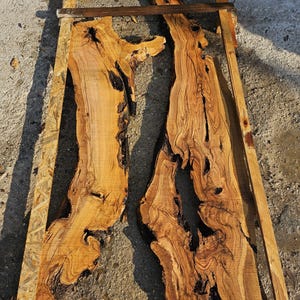 Live Edge Olive Wood Slab: Kiln Dried, Leveled for Epoxy Resin Art
