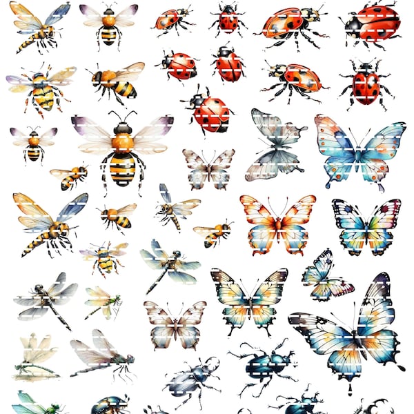 SPRING INSECTS, bees, ladybugs, butterflies, dragonflies, beetles, file PDF to print, high resolution, spring