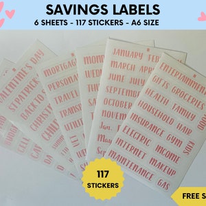 Vinyllabels voor portemonnees | Gepersonaliseerde stickers | A6-budgetmap | Portemonnee met contant geld | Budgetplanner | Spaarstickers