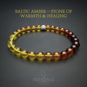 Può includere: Un braccialetto di perline di ambra, con una transizione dal giallo chiaro all'ambra scura. Una perlina d'argento è al centro. Il testo recita "BALTIC AMBER - STONE OF WARMTH & HEALING". Il marchio "INSIGNIS" è in basso.