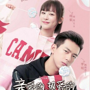 DVD Movies Chinese Drama Go Go Squid 亲爱的,热爱的 Vol. 1-41 END Eng Sub All Region ~ Dvd Storage with DHL  Express Shipping