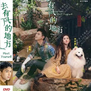 Chinese Drama DVD ~ Meet Yourself 去有风的地方 Vol.1-40 End English Sub,  Free Express Shipping