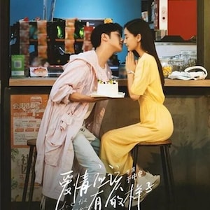 DVD Chinese Drama Love The Way You Are 爱情应该有的样子 (1-30 End) English Subtitle FREE Express Shipping