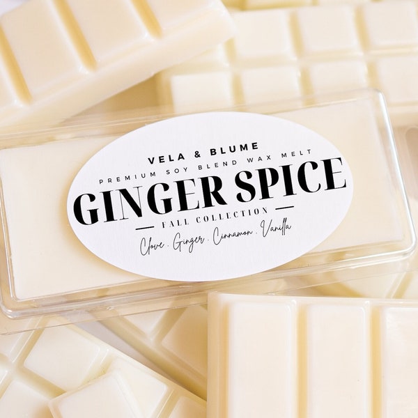 Ginger Spice - Strong Scented Wax Melt Snap Bar Scent Fall Collection Clove Cinnamon Ginger Sugar Allspice Nutmeg Candle