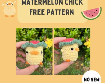 FREE Watermelon Hat Chick Crochet Amigurumi