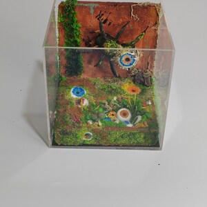 Spider Diorama Cube 12x12x12 - Etsy