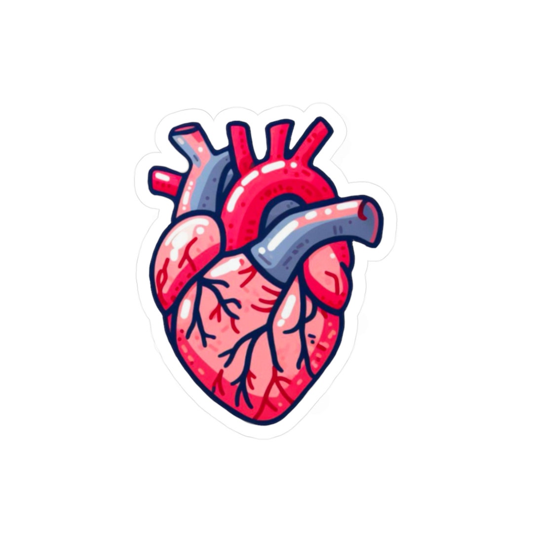 Anatomical Heart Sticker Human Anatomy Heart, Valentines Love Gift, Laptop Stickers, Aesthetic
