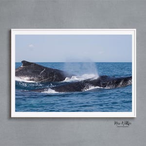 Humpback Whales Print, Ocean Wildlife Decor, Coastal Whale Art, Whale Lover Gift, Blue and Black Wall Art, Minimalist Marine Print