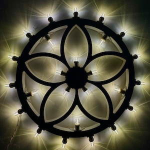 LUMINARIA SALENTINA FLOWER