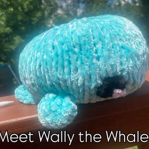 May include: A plush, turquoise whale with a textured surface and small, rounded fins. The whale has a black eye and a touch of pink. The text "Meet Wally the Whale!" is at the bottom of the image.