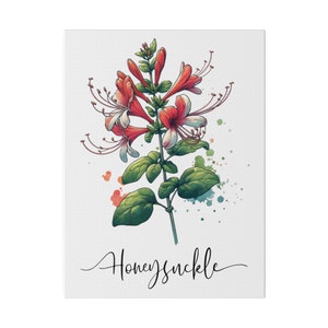 Honeysuckle June Birth Flower Watercolor Canvas Art (9x12)