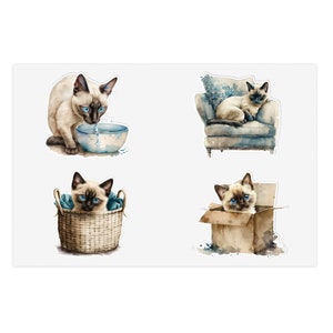 May include: Four watercolor illustrations of Siamese kittens in different poses. One kitten is drinking from a blue bowl, another is sitting in a wicker basket, another is relaxing on a blue armchair, and the last one is sitting in a cardboard box.