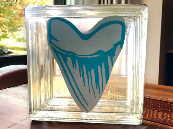 Large Sharks Tooth Collection/ Collectors Jar box  w/ shark tooth decal 5.5” x 5.5”