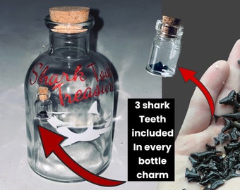 Charmed (with 3 REAL sharks teeth) Cork Top Sharks Tooth Collectors Jar 6.5" Tall