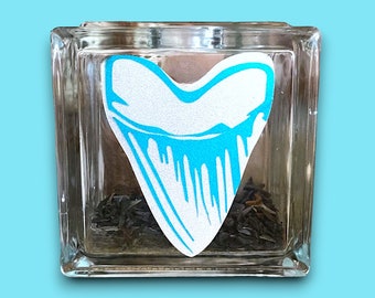 Large Sharks Tooth Collection/ Collectors Block /Jar with shark tooth decal 5.5” x 5.5”