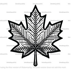 Maple Leaf SVG bundle