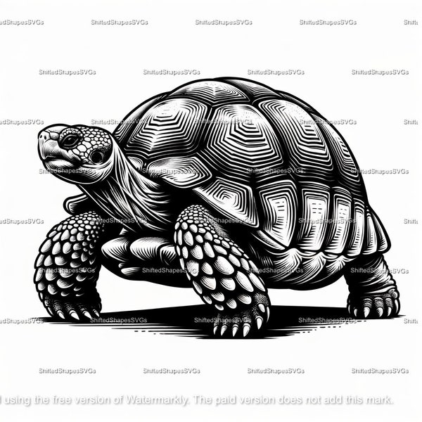 Sulcata Tortoise SVG bundle