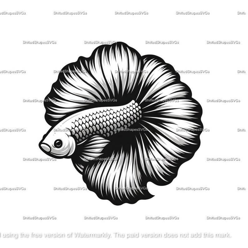 Betta Fish SVG Bundle - Etsy