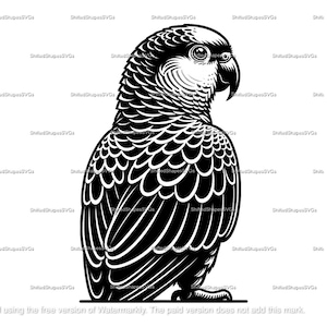 May include: Black and white line art illustration of a parrot facing right. The parrot has a large beak and a detailed pattern of feathers.