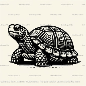 Box Turtle SVG bundle