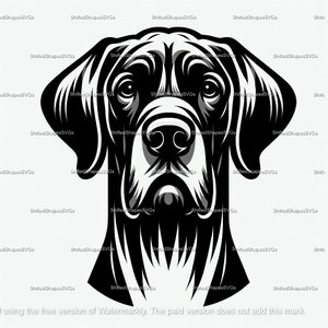 Great Dane SVG bundle