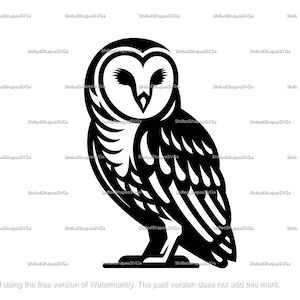 Barn Owl SVG bundle
