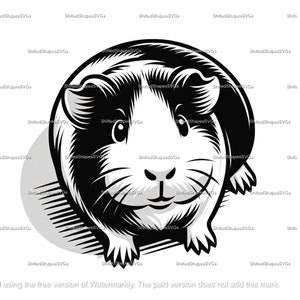 Guinea Pig SVG bundle