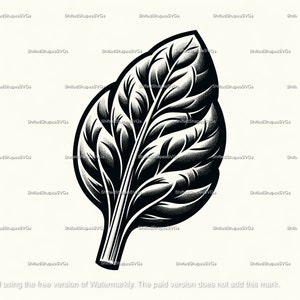Spinach SVG bundle