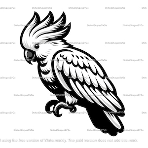 May include: Black and white illustration of a cockatoo with a crested head, perched on a branch. The bird is facing left and has a detailed wing pattern.
