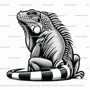 Puede incluir: Una ilustración en blanco y negro de un iguana sentado en su cola. El iguana está mirando hacia la derecha y tiene un patrón detallado y texturizado en su piel.