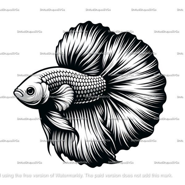 Betta Fish SVG bundle