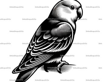 Lovebird SVG bundle
