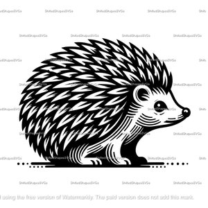 Hedgehog SVG bundle