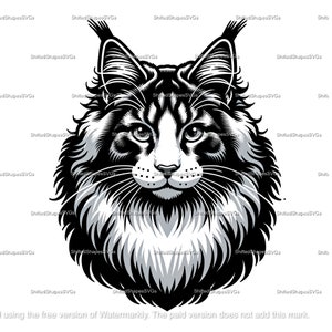 Maine Coon Cat SVG bundle
