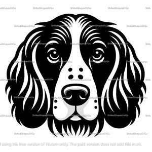 English Springer Spaniel SVG Bundle