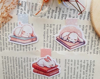 Marque page magnétique avec une illustration de lapin en train de dormir sur un livre