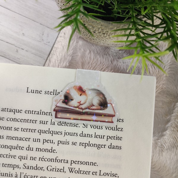 Marque page magnétique avec une illustration d'un cochon d'inde endormi