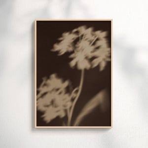 Väggkonst med brun blommig skuggning, botaniskt tryck i sepia, abstrakt affisch med mjukt fokus, minimalistisk stämningsfull utskrivbar nedladdning