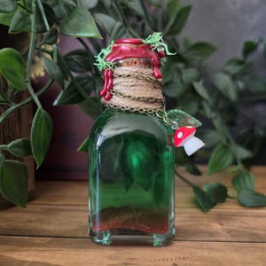 May include: A small rectangular glass bottle filled with green liquid and a reddish sediment at the base. The neck is wrapped in twine and sealed with red wax, topped with green moss. A thin metal chain holds a small red and white mushroom charm.