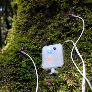 Könnte beinhalten: Ein weißes, rechteckiges elektronisches Gerät mit strukturierter Oberfläche, das drei kleine leuchtende LED-Lichter in Blau, Orange und Rot sowie einen einzelnen schwarzen Knopf aufweist. Zwei weiße Kabel mit violetten Enden führen vom Gerät weg.