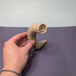 May include: A beige, segmented, worm-like figure with a circular opening at the top. The figure is made of a smooth, textured material.