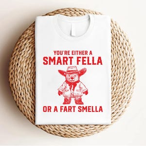 Camiseta "¿Eres inteligente o hueles a pedos?", divertida camiseta retro con meme, camiseta de panda basura con humor extraño, camiseta gráfica de panda basura de dibujos animados