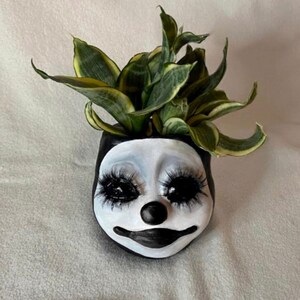 Pu&ograve; includere: Un vaso da fiori a forma di viso di clown bianco e nero con ciglia esagerate e un naso rosso. Una pianta serpente verde e gialla cresce dalla cima del vaso.