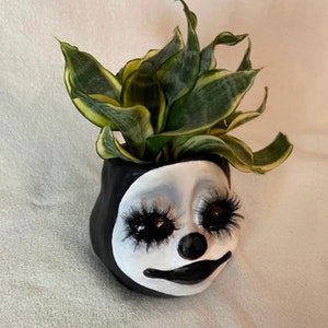 Pu&ograve; includere: Un vaso di ceramica bianca a forma di viso con occhi neri, naso nero e bocca nera. Il vaso ha lunghe ciglia nere ed &egrave; riempito con una pianta serpente verde e gialla.