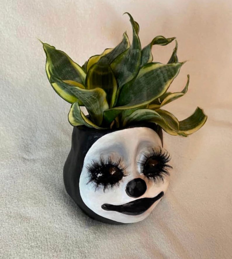 Pu&ograve; includere: Un vaso di ceramica bianca a forma di viso con occhi neri, naso nero e bocca nera. Il vaso ha lunghe ciglia nere ed &egrave; riempito con una pianta serpente verde e gialla.