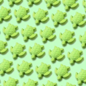 Mini Turtle Bath Bombs | kids bath bombs, turtle lovers, bath fizz
