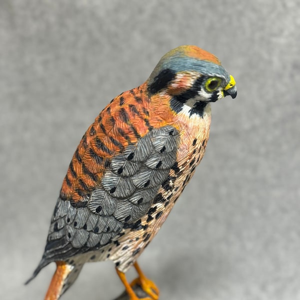 Handgesneden houten Amerikaanse Torenvalk Hawk/Levensgroot/ Sparrow Hawk/ Falcon