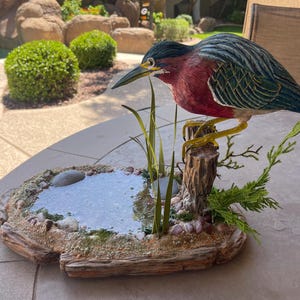 Hand Carved Wooden Green Heron Life Size