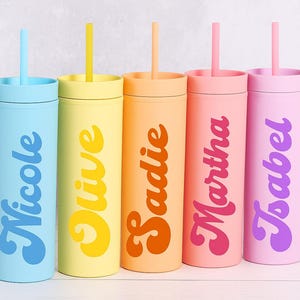 Personalized Pastel Tumblers with Lid and Straw, Custom Bachelorette Party Favors, Bridesmaid Proposal Gift Cups, Bridesmaid Proposal Gift